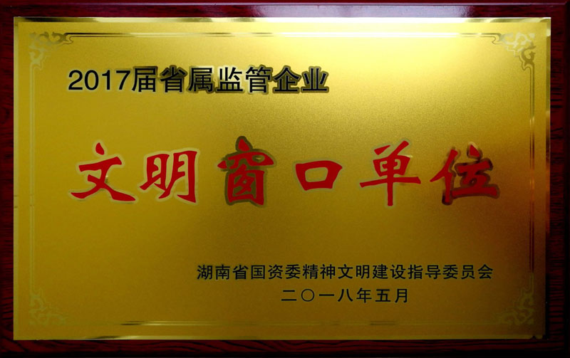 华体会网页版-华体会(中国)集团养老产业有限公司荣获“省属监管企业文明窗口单位”称号